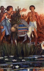 The Farmer Plunders the Peasant, illustration from 